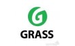 Grass